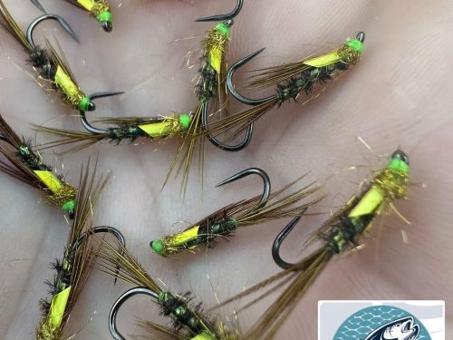 Picric/Gold Diawl Bach