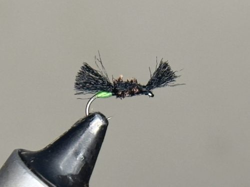 Green tag nothing fly