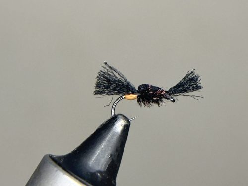 Orange tag nothing fly