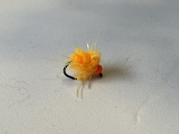 Orange buddy it egg