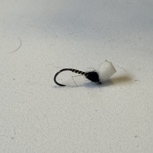 Black sugar cube suspender