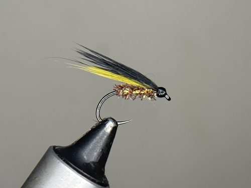 Black and olive death cormorant