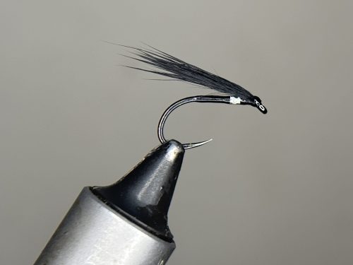 Silver Vicar Cormorant