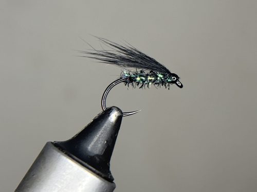 Black death cormorant