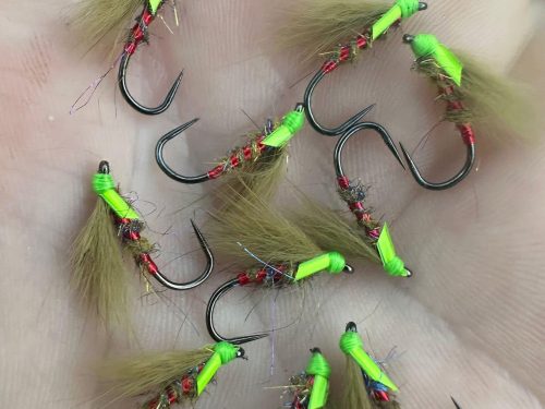 Olive & Charteuse Diawl Bach