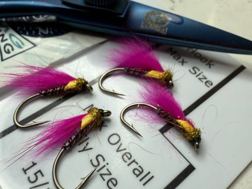 Pink Grey Boy Cormorant