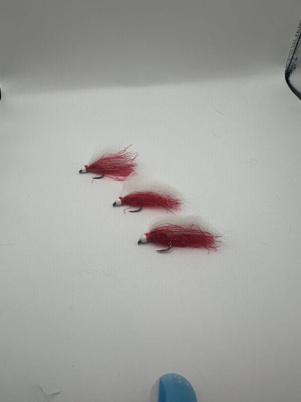 Mini Roach Fry - Image 2