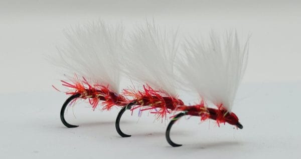 Cormorant -Red and White