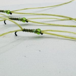 Bloodworms