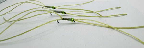 Bloodworms