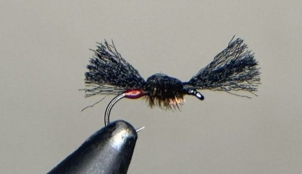 Red tag nothing fly
