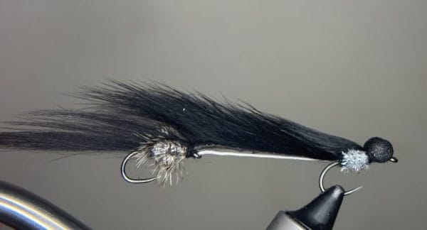 Black and silver humungus booby snake
