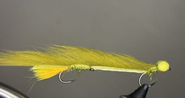 Dawson olive booby snake