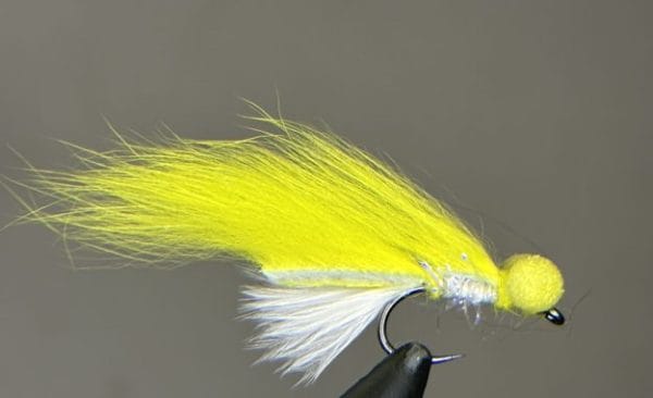 Yellow booby rabbit