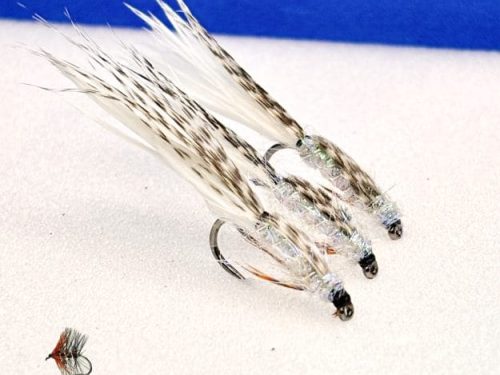 Silver flash Pin Fry