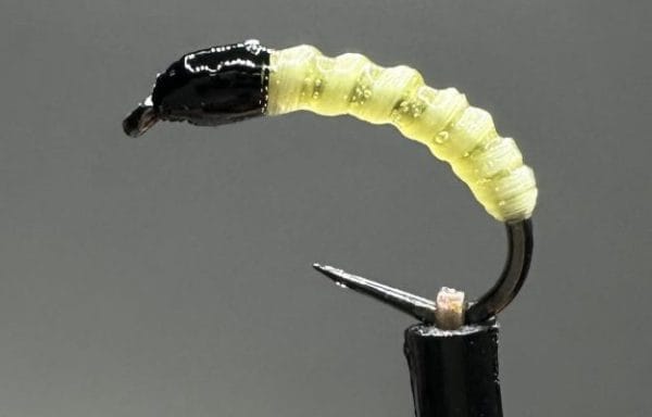 Buzzers