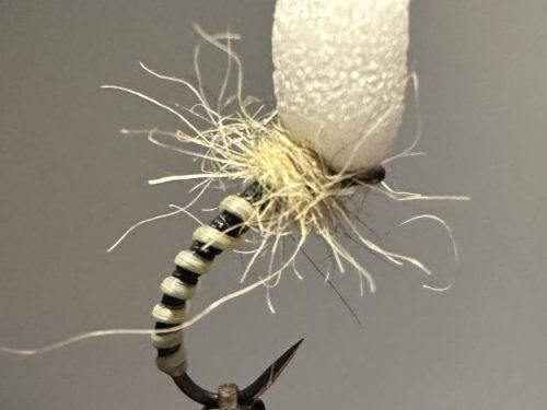 Yellow owl suspended buzzer