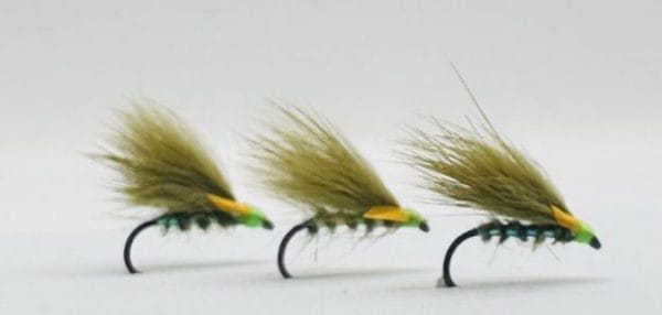 Cormorant - Olive