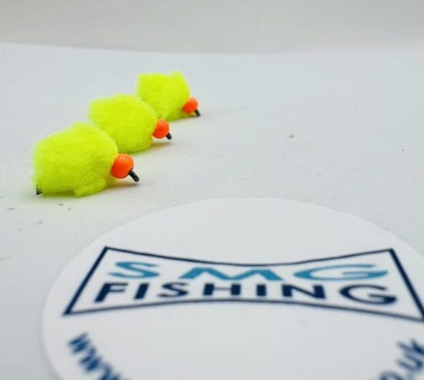 Egg fly