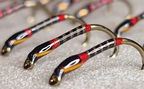 Red collar quill buzzer