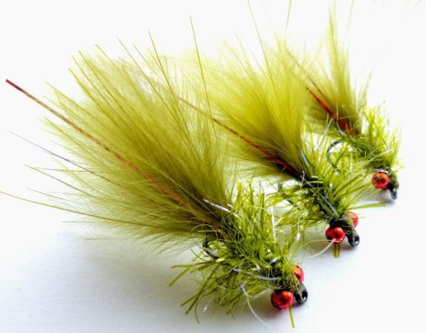 Bead Eye Olive Damsel