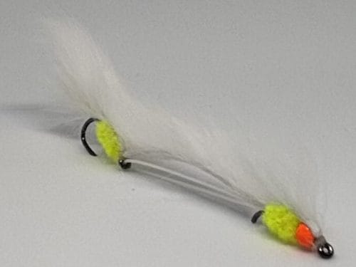 Hot head white cat snake