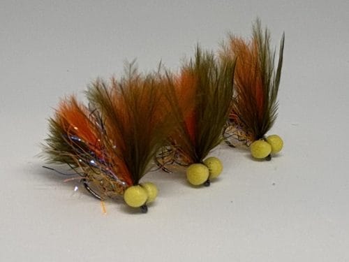 Dark olive and hot orange booby