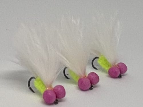 Pink and white cat booby