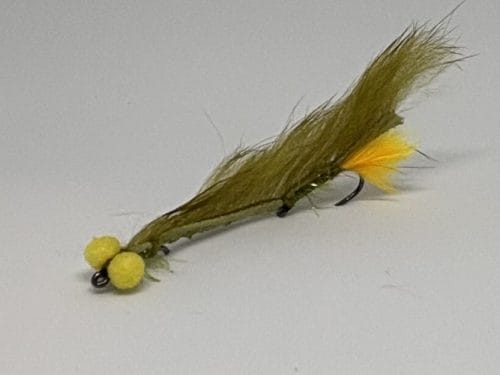 Dawson olive booby snake