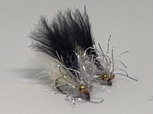 Black,white and silver straggle cat