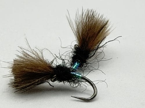 Pearly Butt CDC Smut