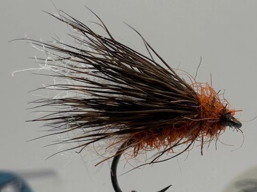 Orange Sedge