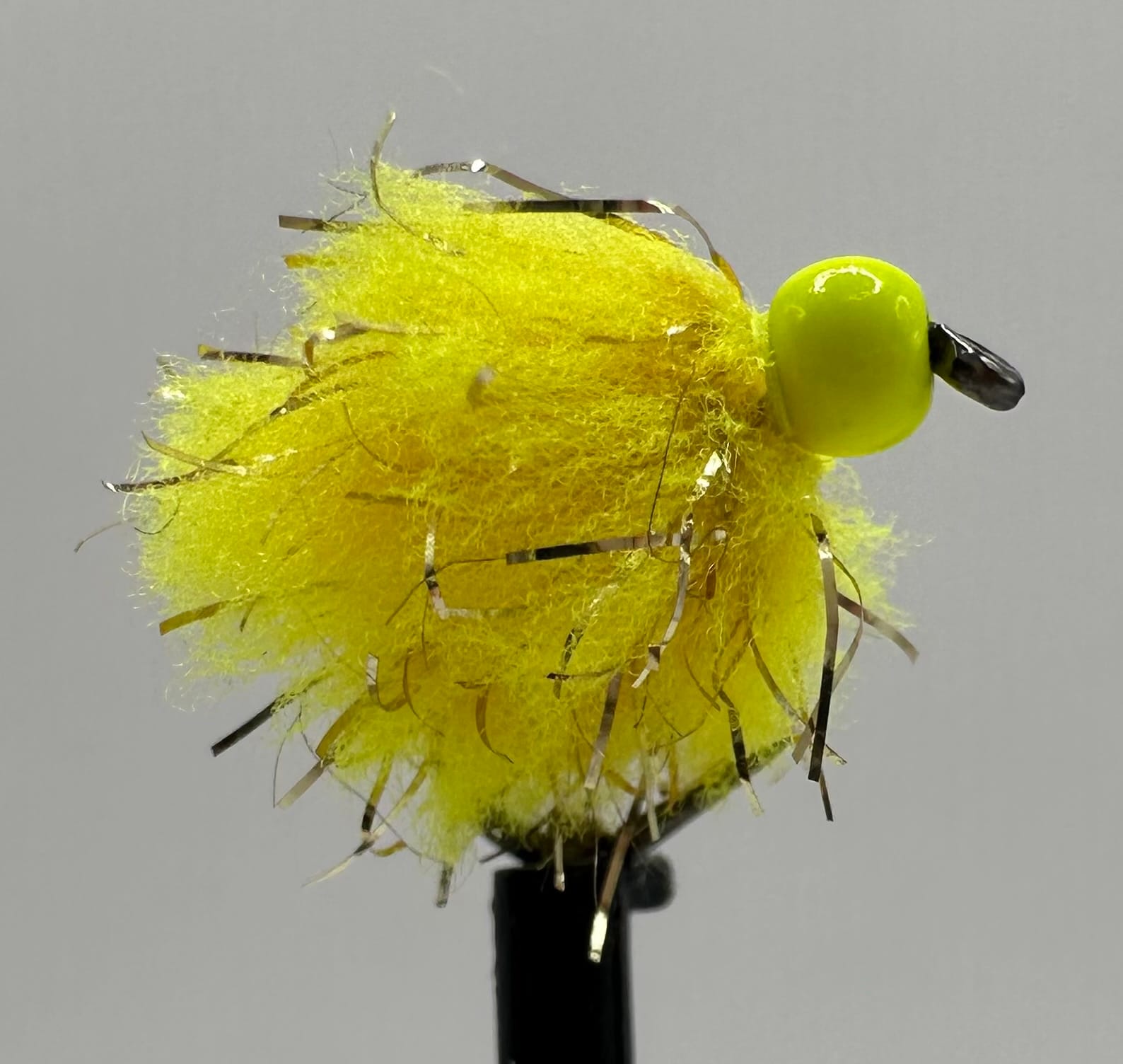 Gold Fleck Egg Fly - Image 3