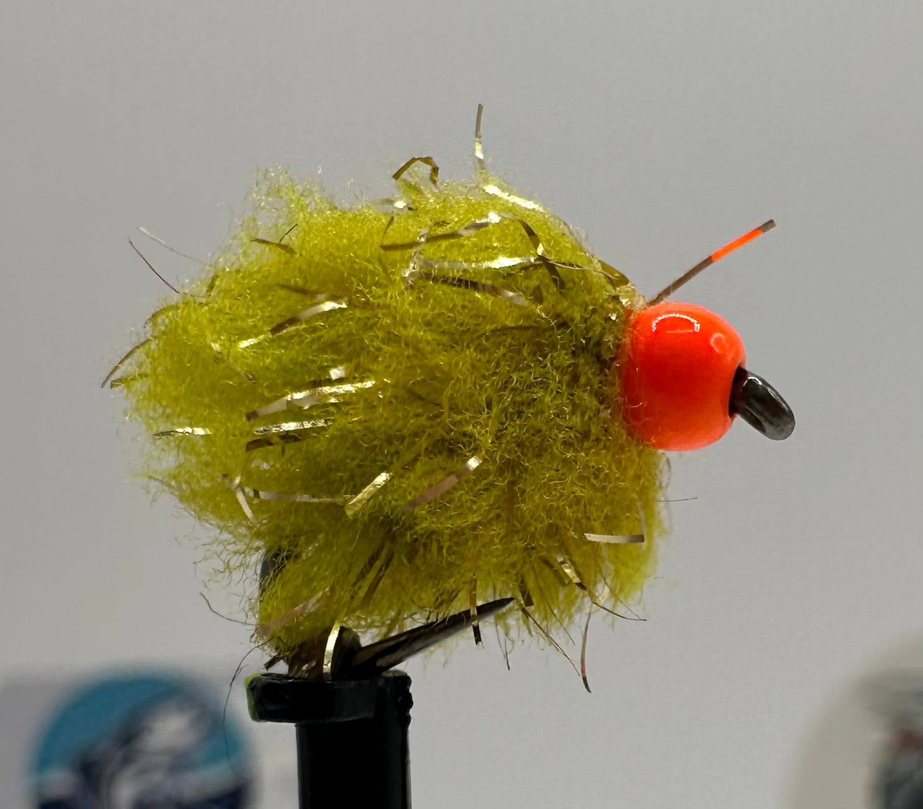 Gold Fleck Egg Fly - Image 9