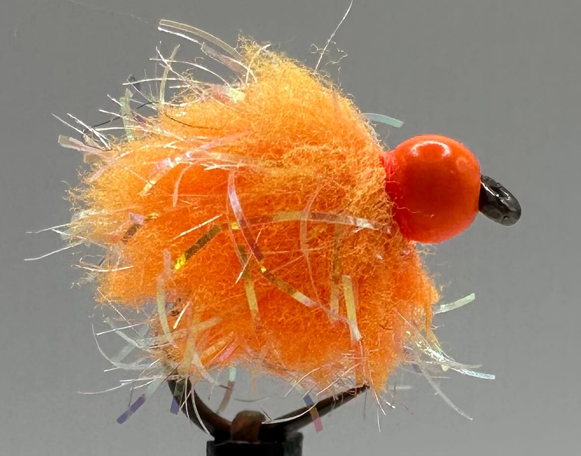 Glistening Egg-It Fly - Image 3