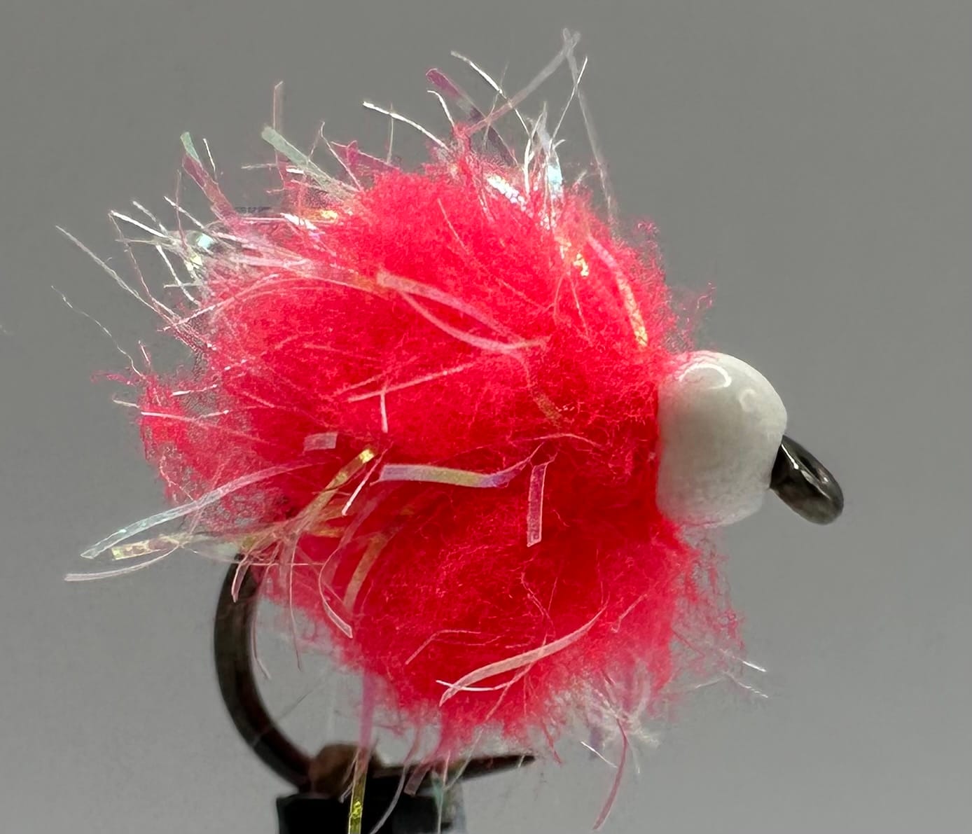 Glistening Egg-It Fly - Image 6