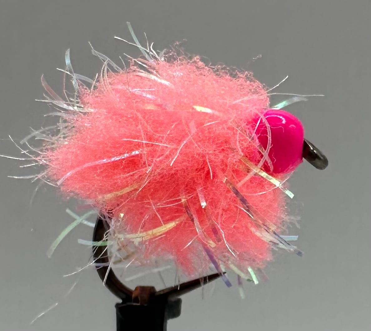 Glistening Egg-It Fly - Image 5