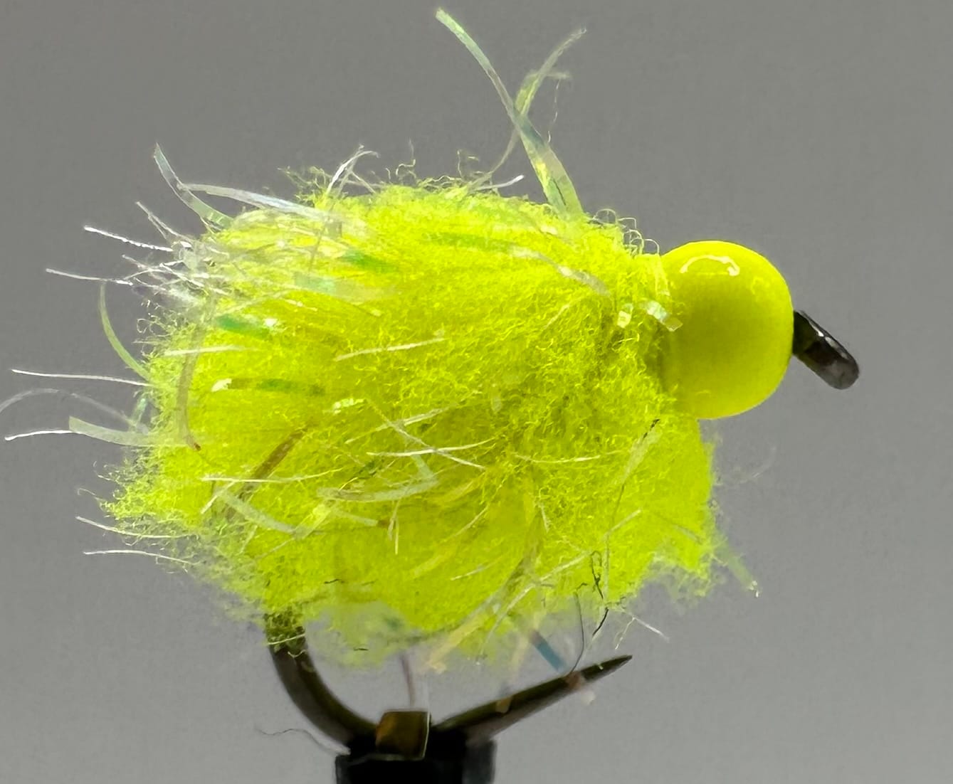 Glistening Egg-It Fly - Image 4