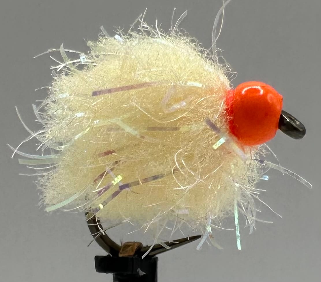 Glistening Egg-It Fly - Image 2