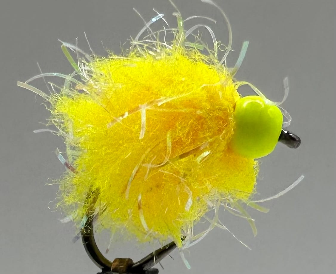 Glistening Egg-It Fly - Image 7