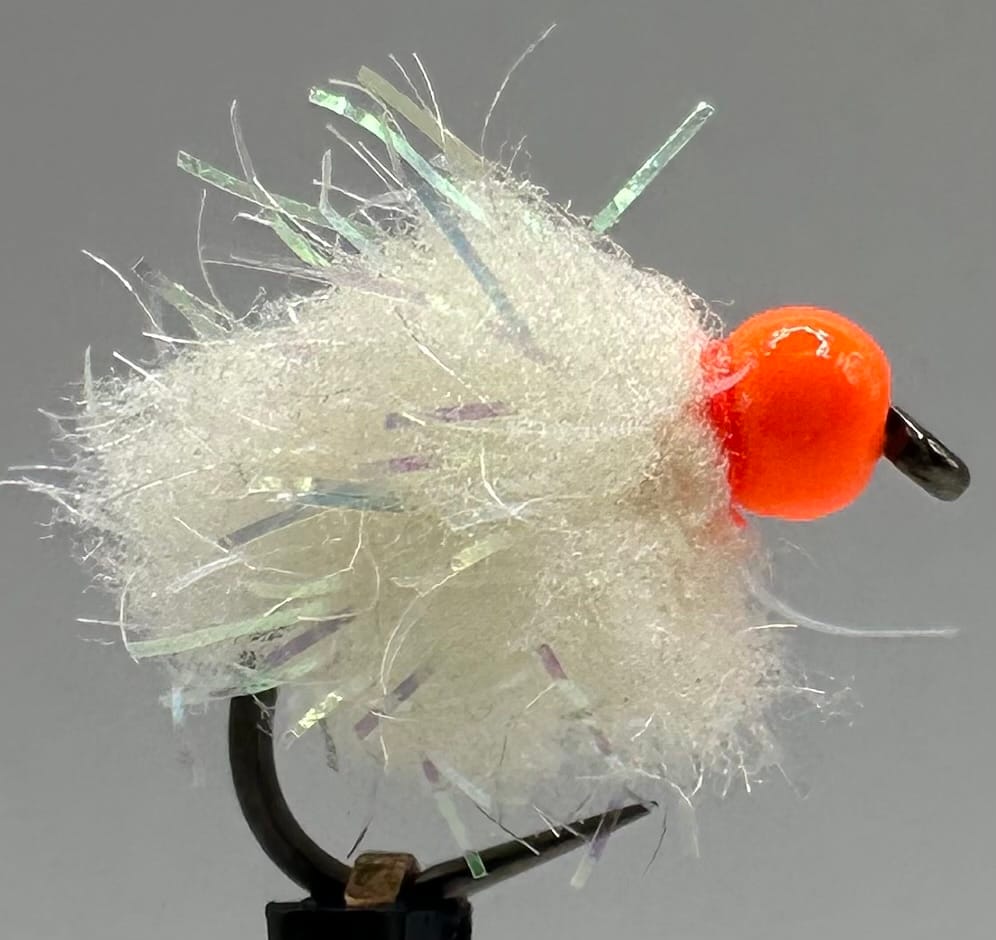 Glistening Egg-It Fly - Image 10
