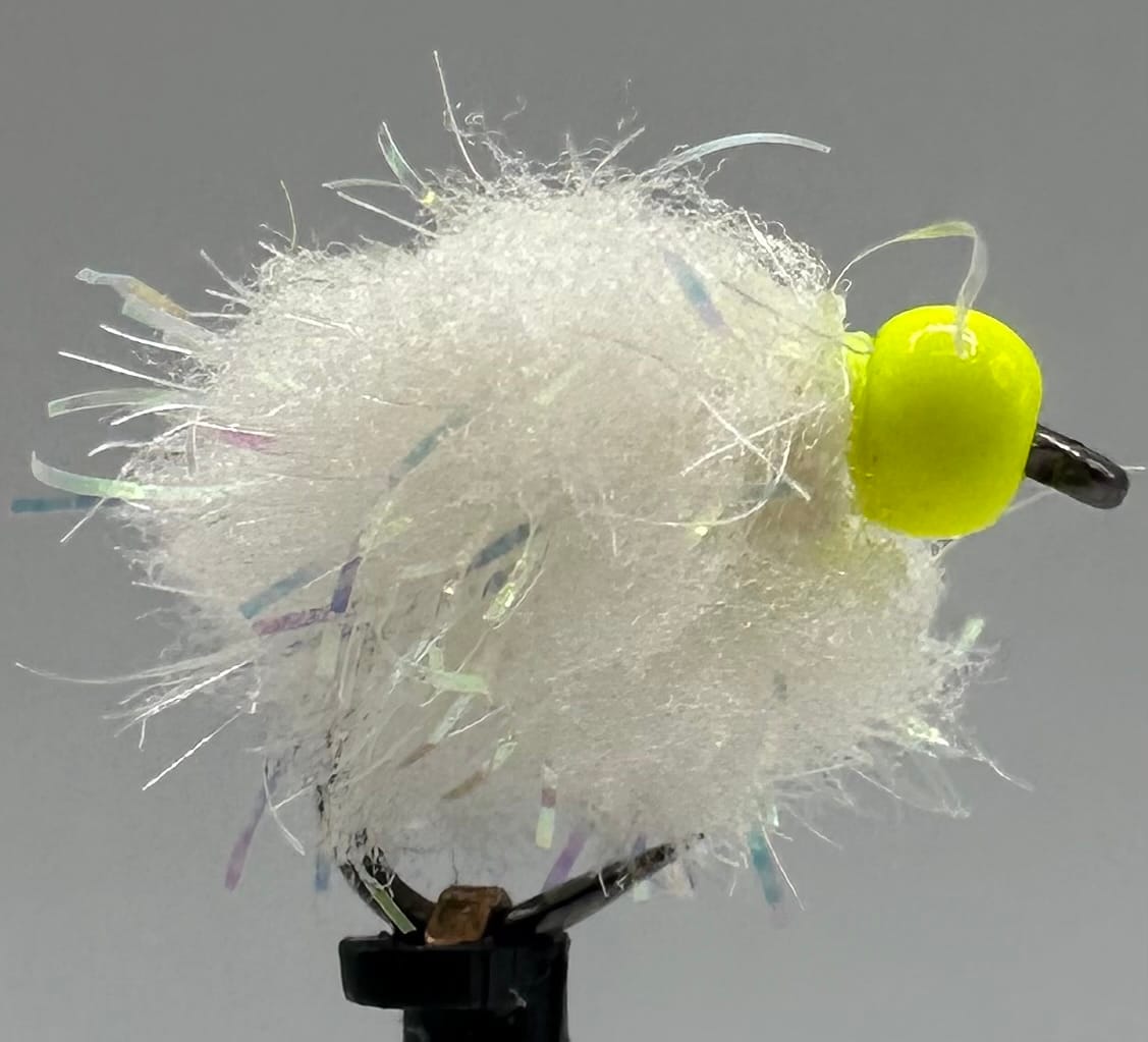 Glistening Egg-It Fly - Image 9