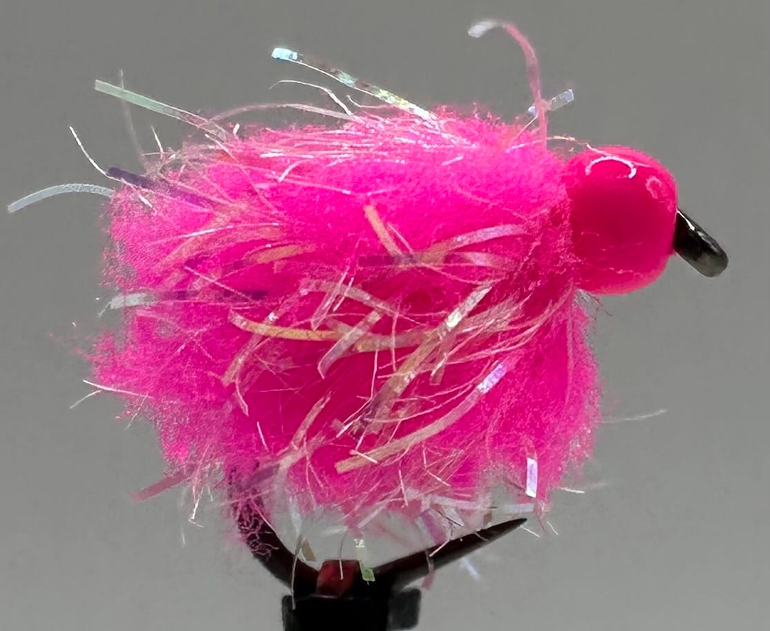 Glistening Egg-It Fly - Image 8