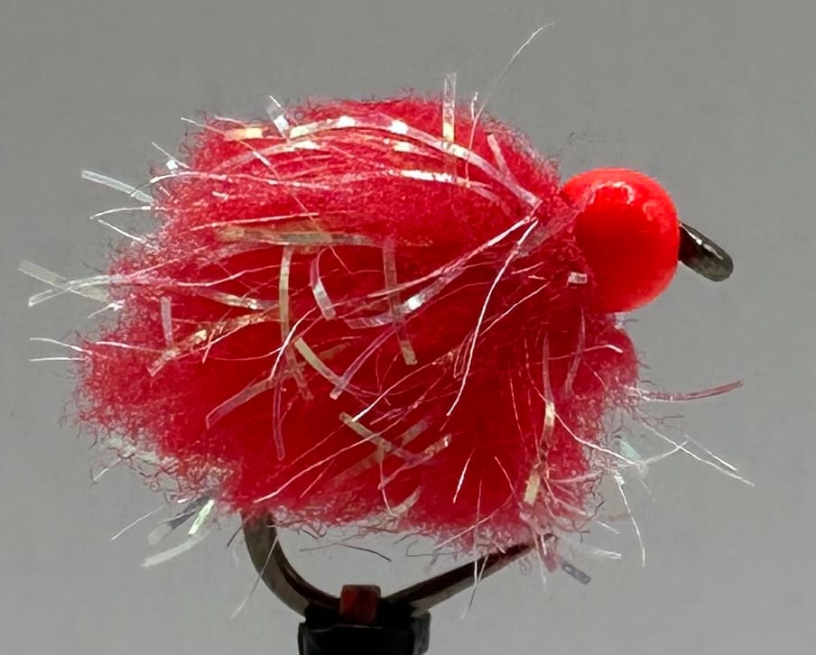 Glistening Egg-It Fly - Image 11