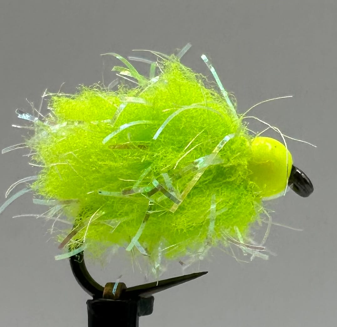 Glistening Egg-It Fly - Image 12