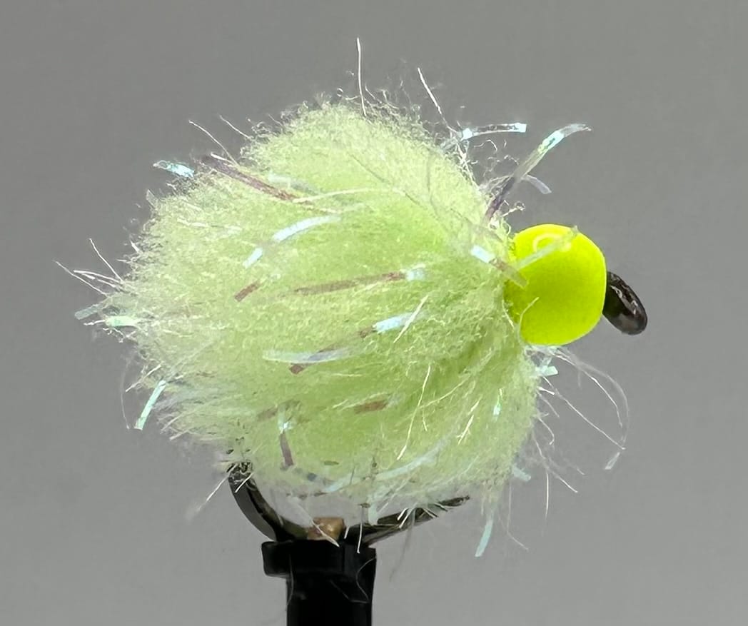Glistening Egg-It Fly