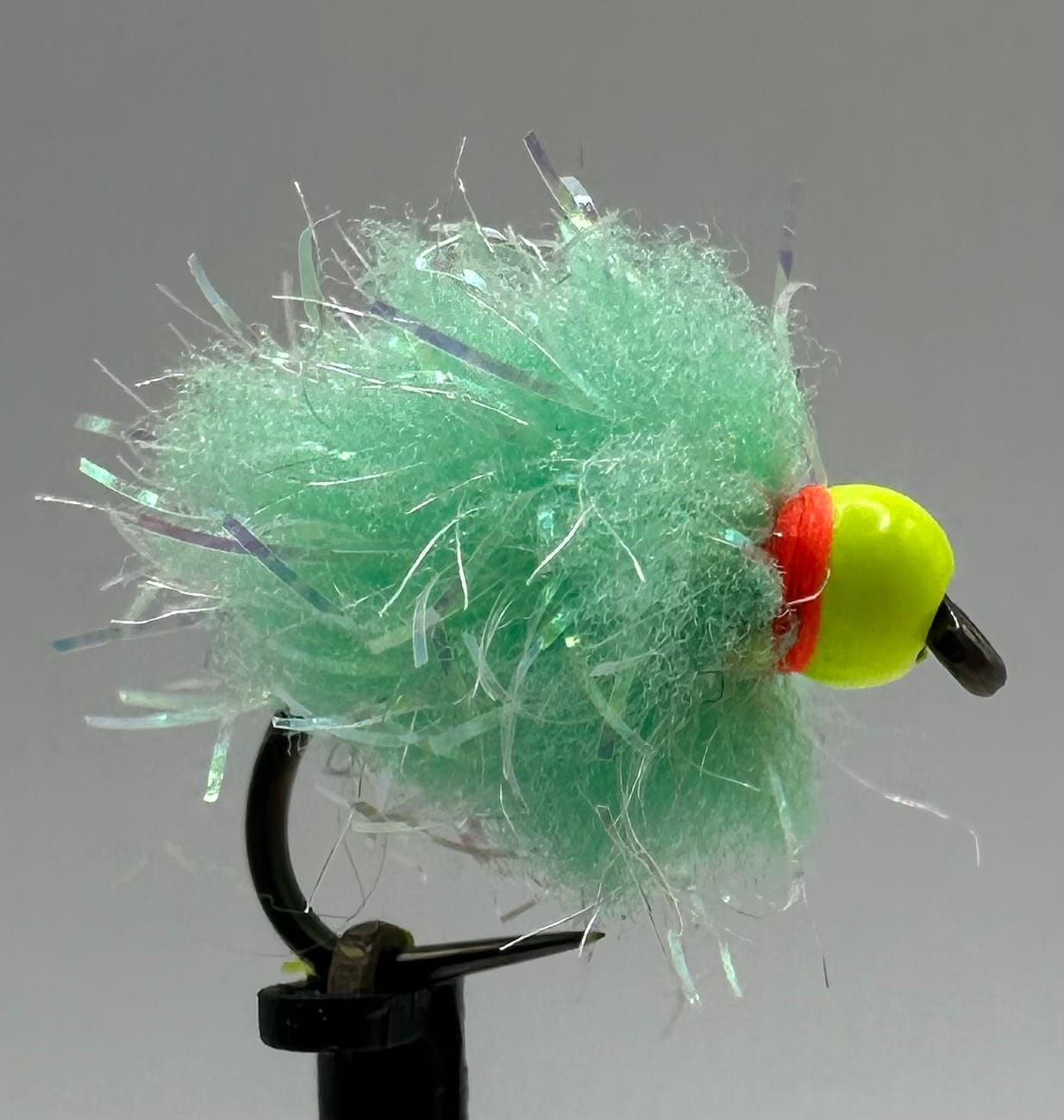 Glistening Egg-It Fly - Image 13