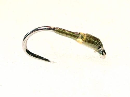 Olive dun vicar buzzer