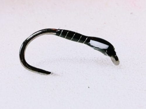 White wicked buzzer(variant)