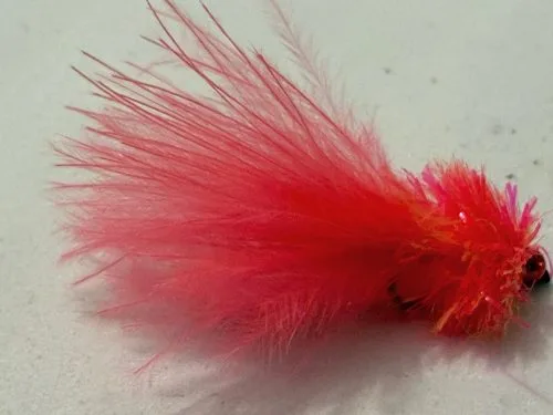 Hot coral fritz